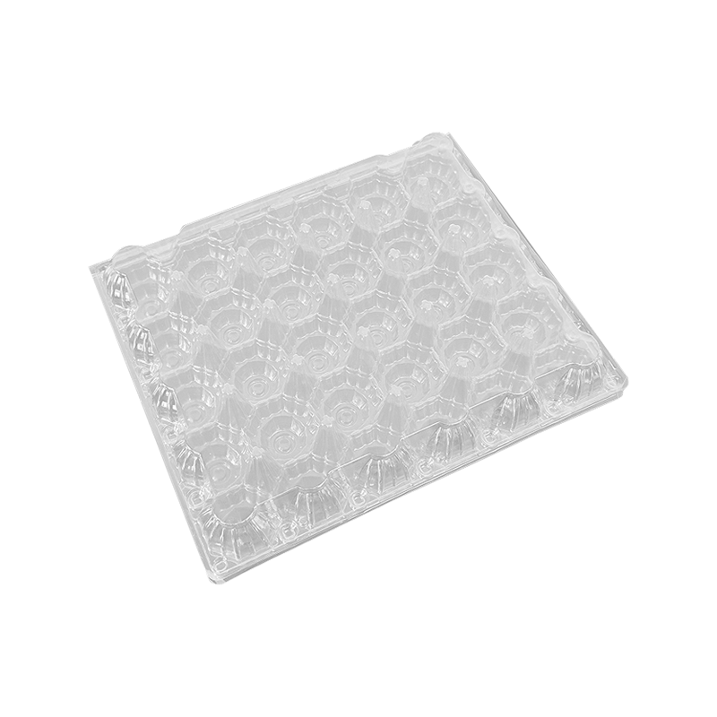 XXX euismod ovum flip plastic lance