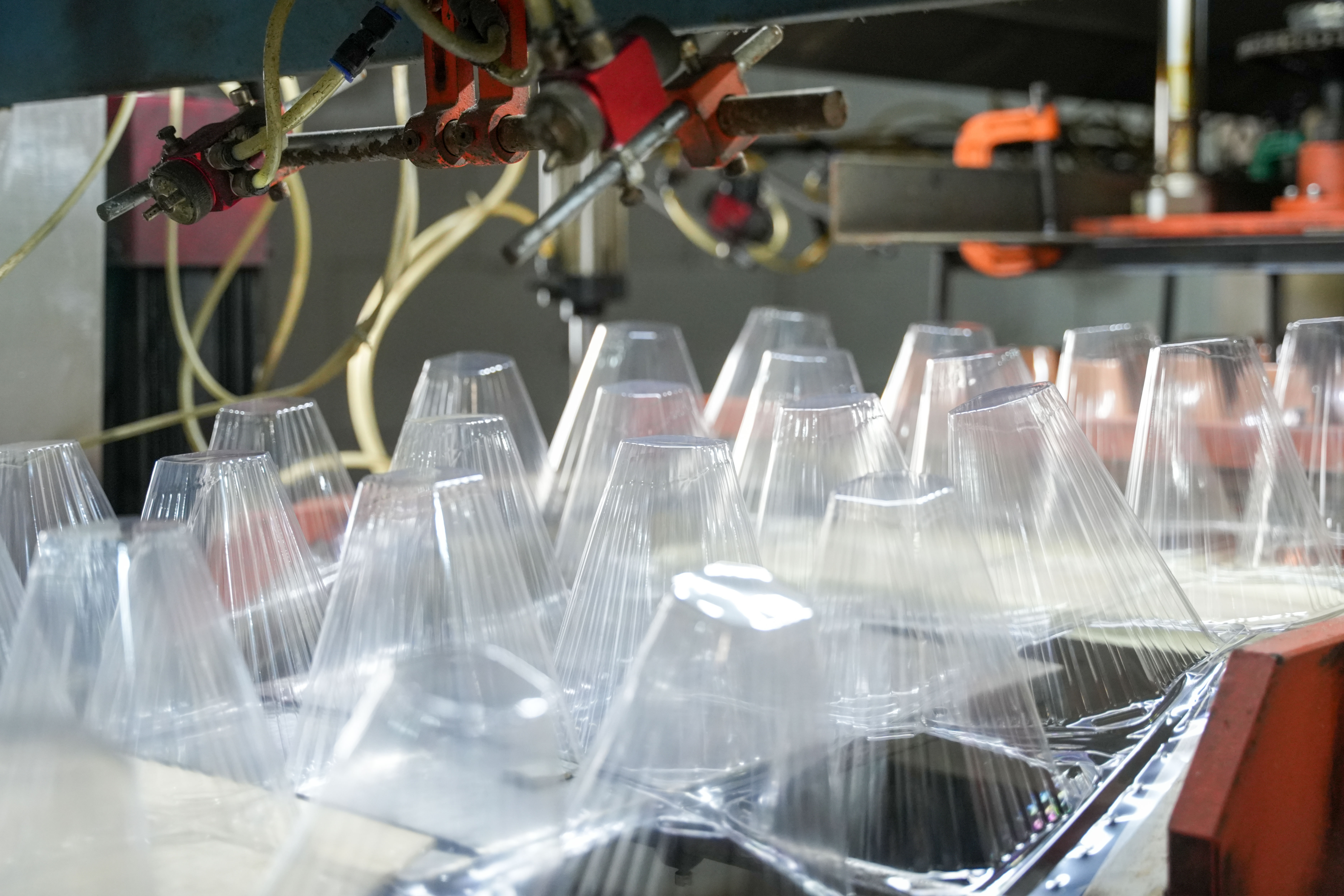 Quomodo Disposable Plastic Germen Cover protegit semina a pestibus, insectis, et bestiis parvis?