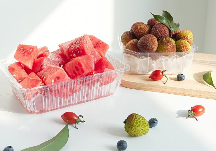 Quomodo novem Grid PET pustulae Packaging Box custodit res teneras vel fragiles a vibratione, impulsu, vel abrasione in naviculas?